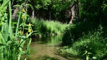 Wasserzufuhr der „Holser Flüth“ bei Salzkotten nach zeitweisem Trockenfallen wiederhergestellt 